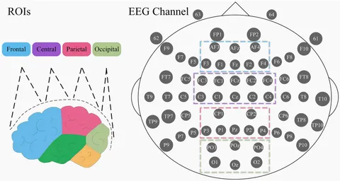 eeg 2013年 Frontiers | EEG beta suppression and low gamma modulation