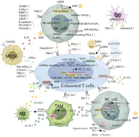 Efficient SSA‐mediated precise genome editing using CRISPR