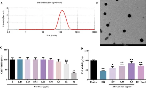 Frontiers | Curcumin nanocrystals ameliorate ferroptosis of