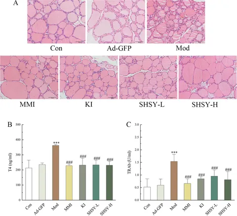 Frontiers | Elucidating the pharmacological foundations and