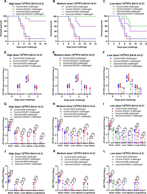 Frontiers | Partial protective efficacy of the current