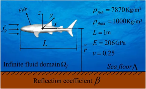 Frontiers | Acoustic interaction of submerged thin-shell