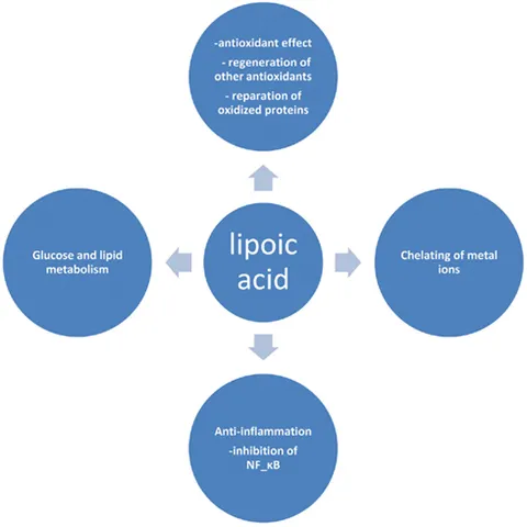 benefits of alpha lipoic acid