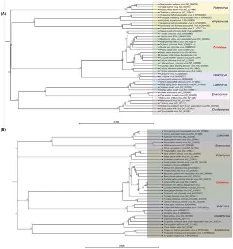Frontiers | New insights into viral threats in soybean