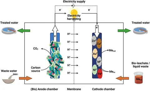 Frontiers | Fundamentals of bio-based technologies for