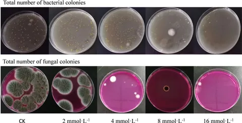 セール 海外 of Improvement | Frontiers antioxidant aroma capacity, トップス