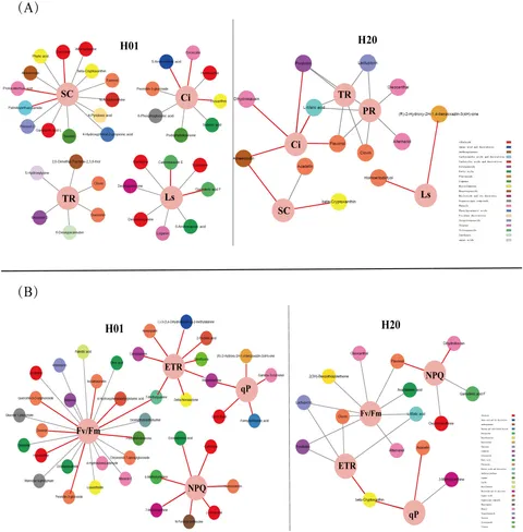 Frontiers | Metabolomic analyses reveal that graphene oxide