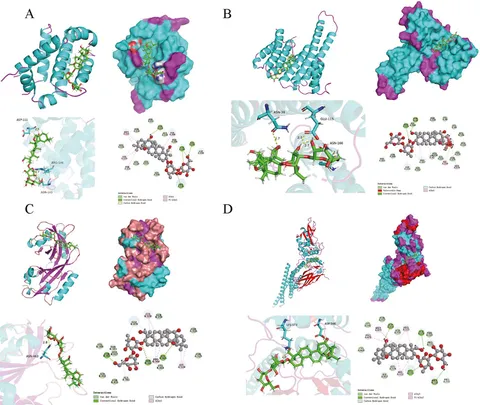 Frontiers | Exploring the multi-targeted mechanism of