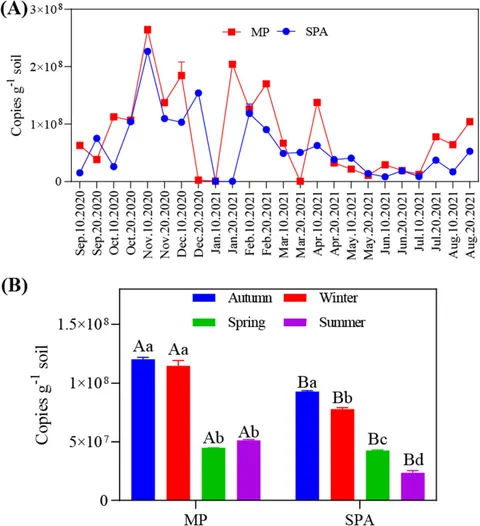 R N Mouse IL-1 beta /IL-1F2 Antibody (AF-401-NA): R&D Systems