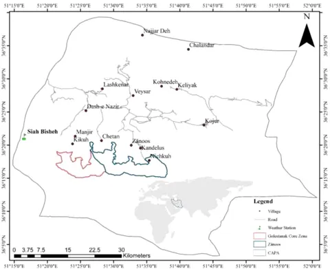 Frontiers | Impact of climate warming on vegetation cover