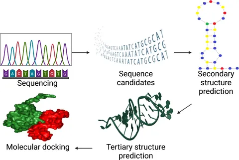 Frontiers | Aptamer based immunotherapy: a potential solid