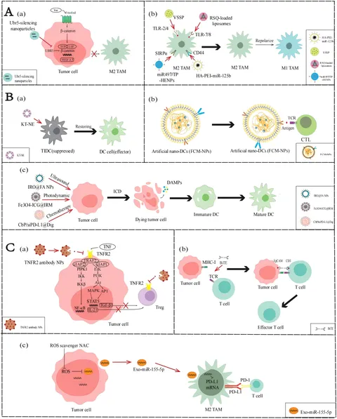 Frontiers | A new strategy for the treatment of advanced