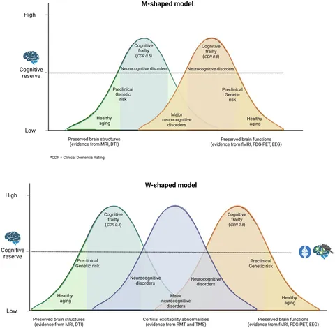 Frontiers | Cortical excitability and the aging brain