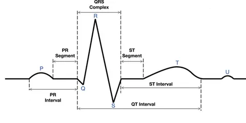 サブ Frontiers | Causal ECGNet: leveraging causal inference for