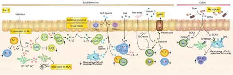 Pathogenic mechanisms of cardiovascular damage in COVID-19