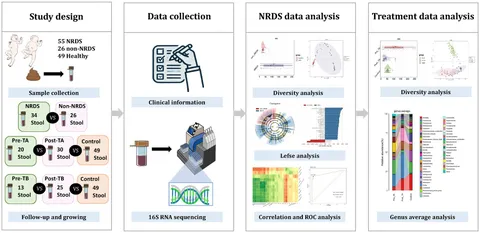 Frontiers | Gut microbiota characteristics in neonatal