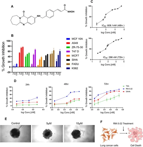 と*り様 Zone Elimination / Druggy's Acid Ra Zone Elimination