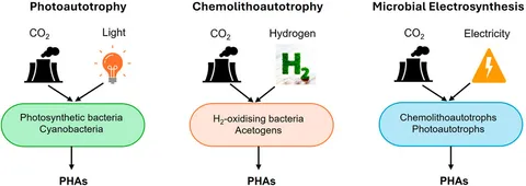 RETEN Frontiers | Autotrophic bacterial production of ... Frontiers | Autotrophic bacterial production of ... RETEN Frontiers | Autotrophic bacterial production of ... Frontiers | Autotrophic bacterial production of ...