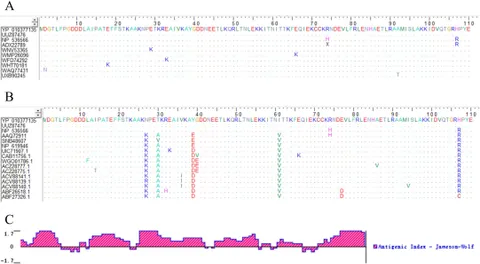 Frontiers | Preparation and application evaluation of