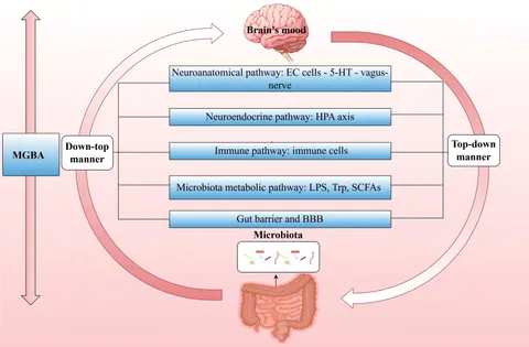 むー Health benefits of medicinal plant natural products via