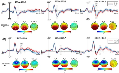 Frontiers | Exploring how sensory dominance modulated by