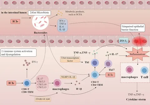 Dysregulated bile acid homeostasis: unveiling its role in