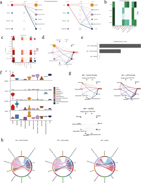 Frontiers | Integration of bulk RNA-seq and scRNA-seq