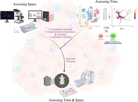 Frontiers | The tumor microenvironment across four