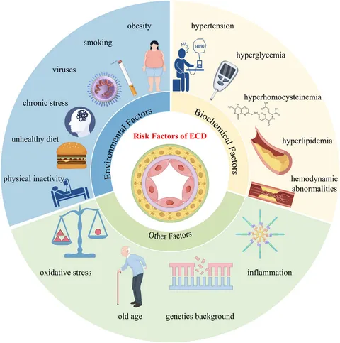 Frontiers | Treatment of endothelial cell dysfunction in