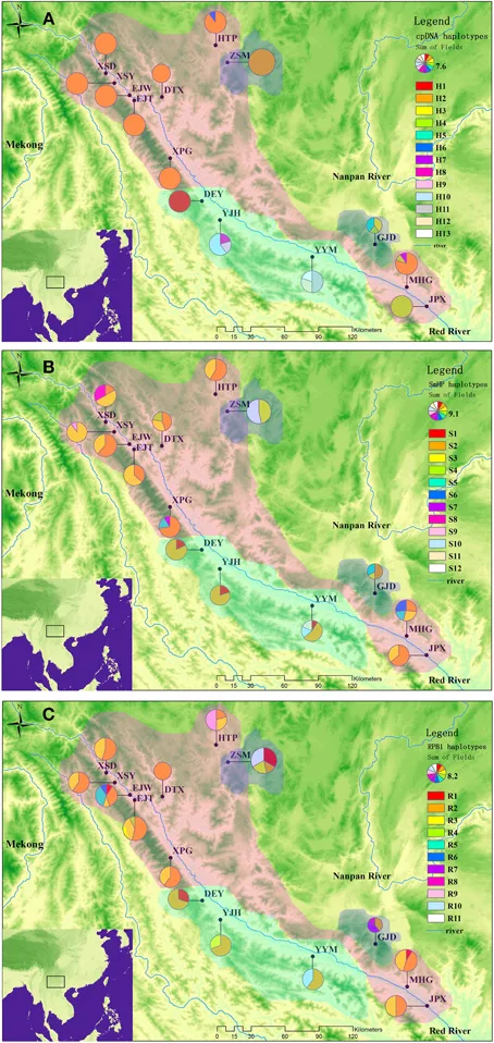 Frontiers | Species delimitation, genetic diversity and