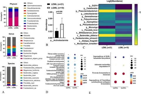Frontiers | The role of gut microbiota in predicting the Frontiers | The role of gut microbiota in predicting the
