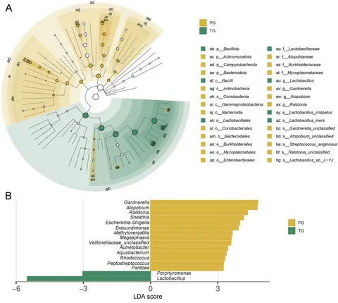 Frontiers | Microbiomic insights into the unique effects of
