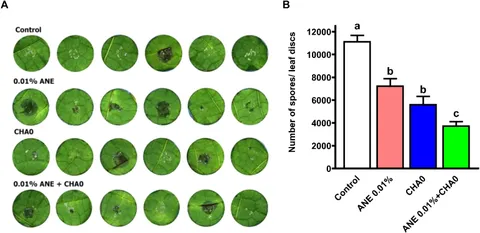 Frontiers | Synergistic activation of grapevine defense