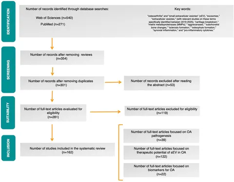 Frontiers | Targeting osteoarthritis with small
