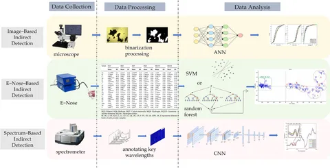 Frontiers | A comprehensive review of direct, indirect, and