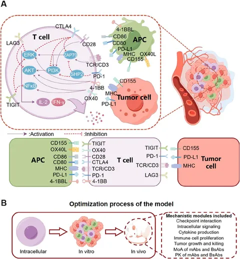 健康・医学 Receptor Based Solutions Tissue-Agnostic Targeting of Neurotrophic Tyrosine Receptor