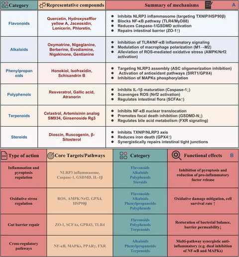 Frontiers | Regulation of pyroptosis by natural products in