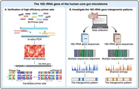 Frontiers | Unveiling the impact of 16S rRNA gene