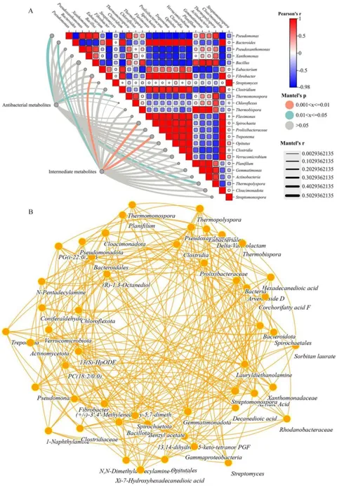 Frontiers | Thermophilic microbial agents promote the