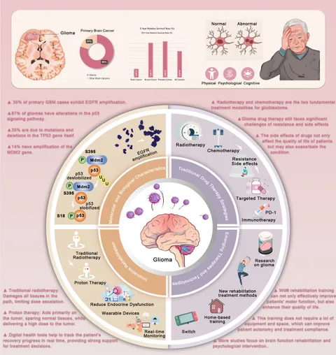 Frontiers | Role and mechanisms of exercise therapy in