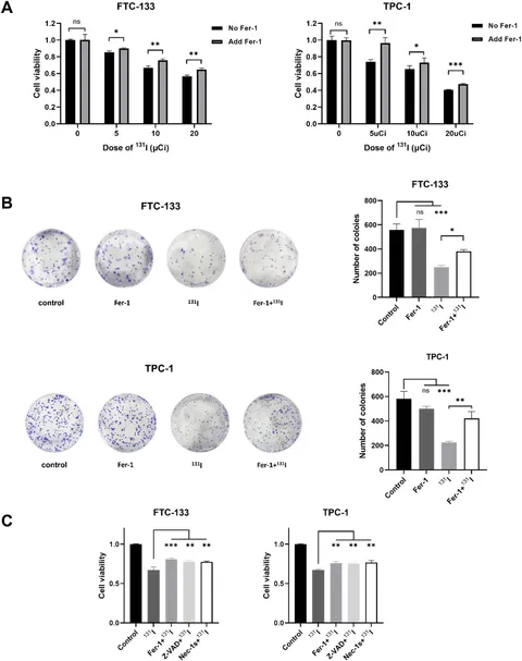 Frontiers | Iodine-131 induces ferroptosis and synergizes