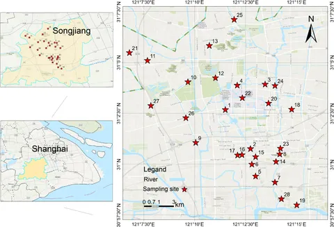 Frontiers | Per- and polyfluoroalkyl substances in coastal