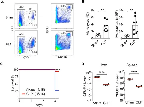 Frontiers | Enhanced resistance to Listeria infection in