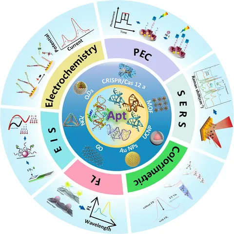 Frontiers | A comprehensive review on optical and