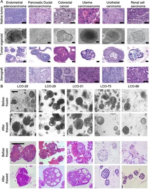 100Fパネル２枚 fcimb-15-1601688-g001.jpg