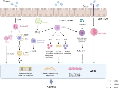 8個セット Amazon.com: PEIPU Nitrile Disposable Gloves，（Small,100