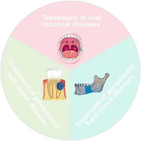 Frontiers | Recent advances in hydrogels for treating