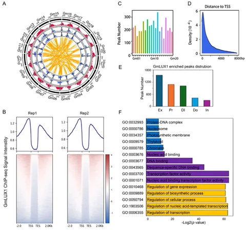 その他 Yu MxLy]n[MwXz]m Non-Perovskite Hybrid Halides of Coinage