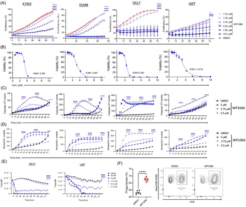 Frontiers | STAT3 inhibition in combination with CD47