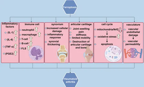yt Catalytic Processes from Biomass-Derived Hexoses and